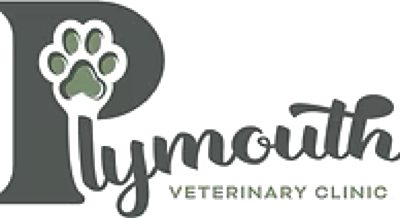 Plymouth Veterinary Clinic veterinary clinic — Plymouth, Indiana