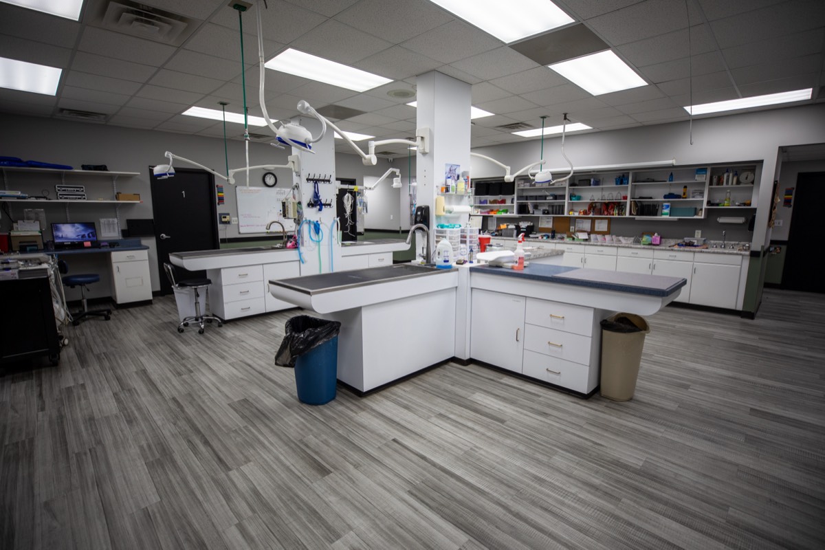 The treatment area at Plymouth Veterinary Clinic