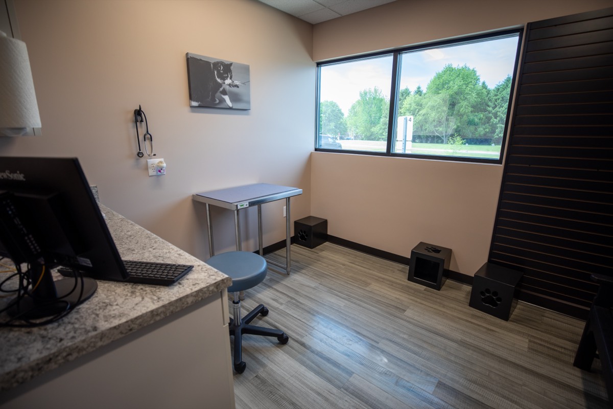 An exam room at Plymouth Veterinary Clinic