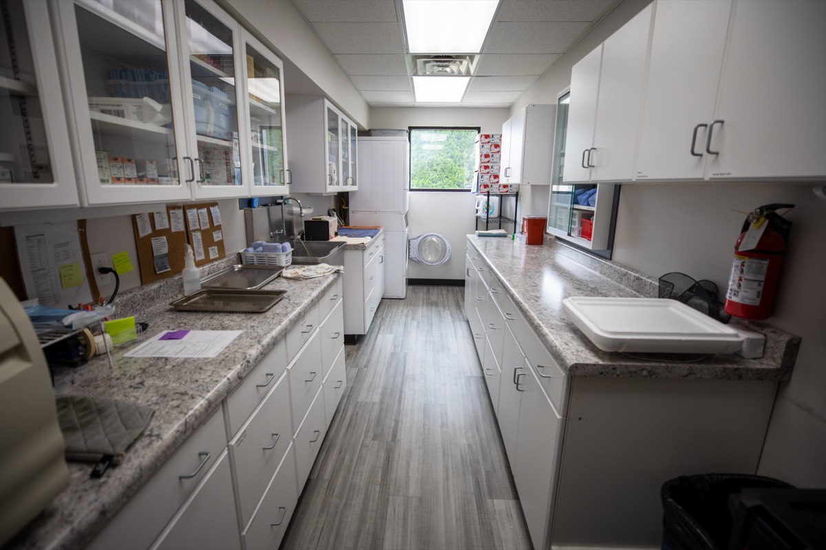The surgery prep area at Plymouth Veterinary Clinic