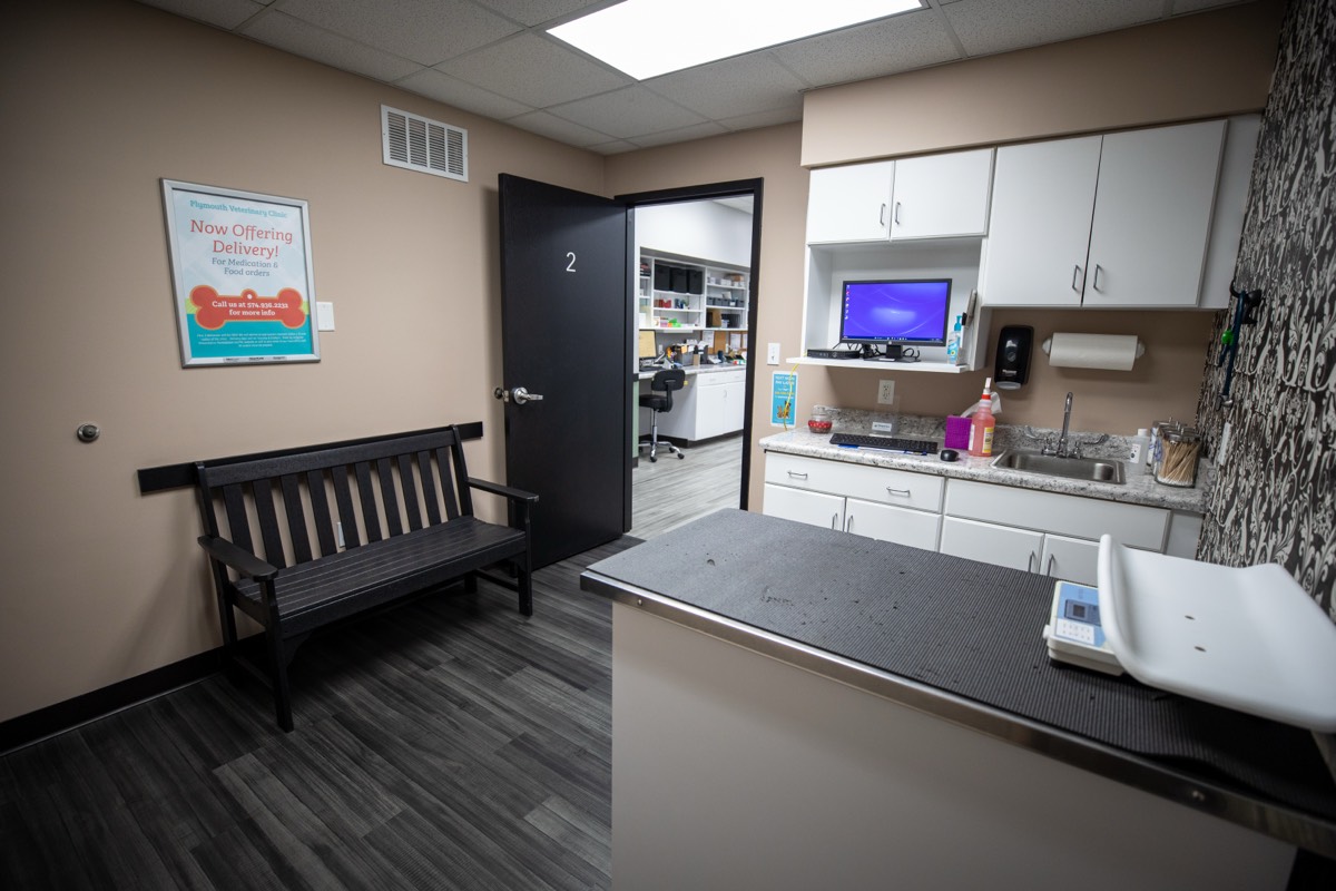 An exam room at Plymouth Veterinary Clinic